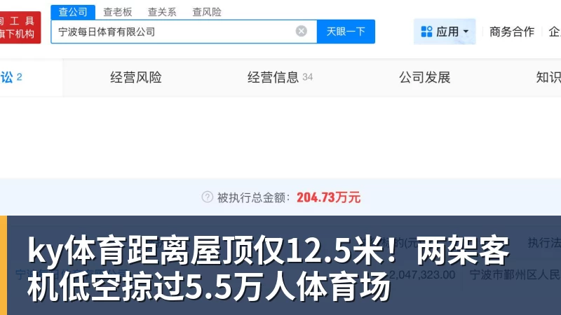 ky体育距离屋顶仅12.5米！两架客机低空掠过5.5万人体育场